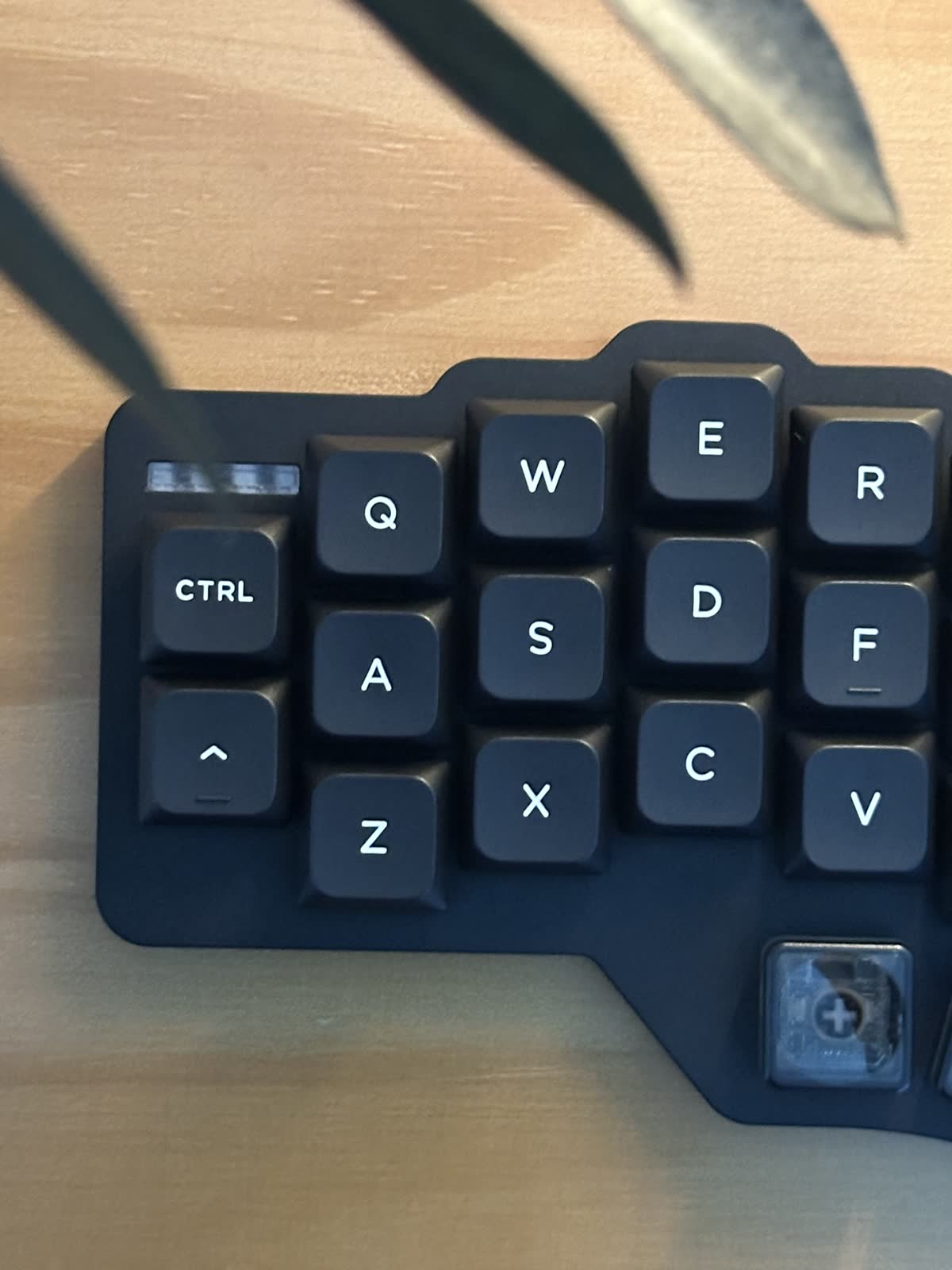Assembled keyboard during an early build study