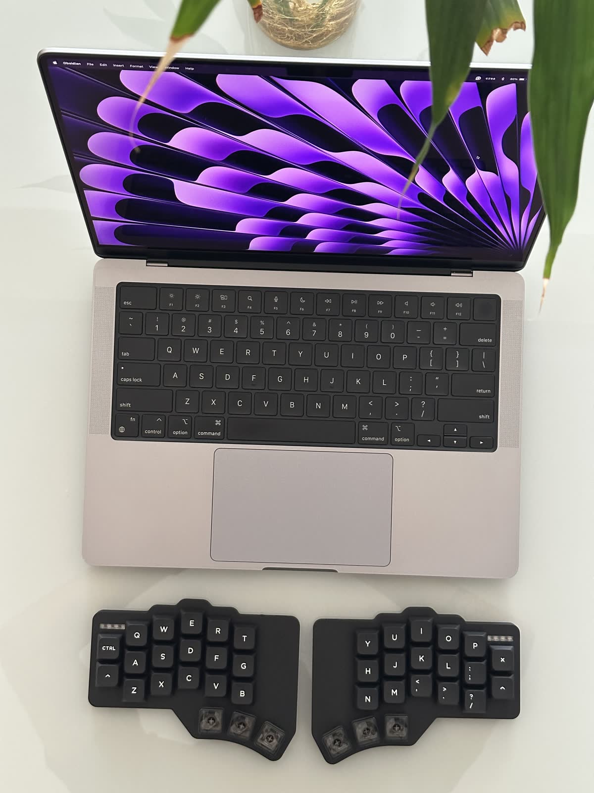 The two halves of The Wolf in front of a laptop