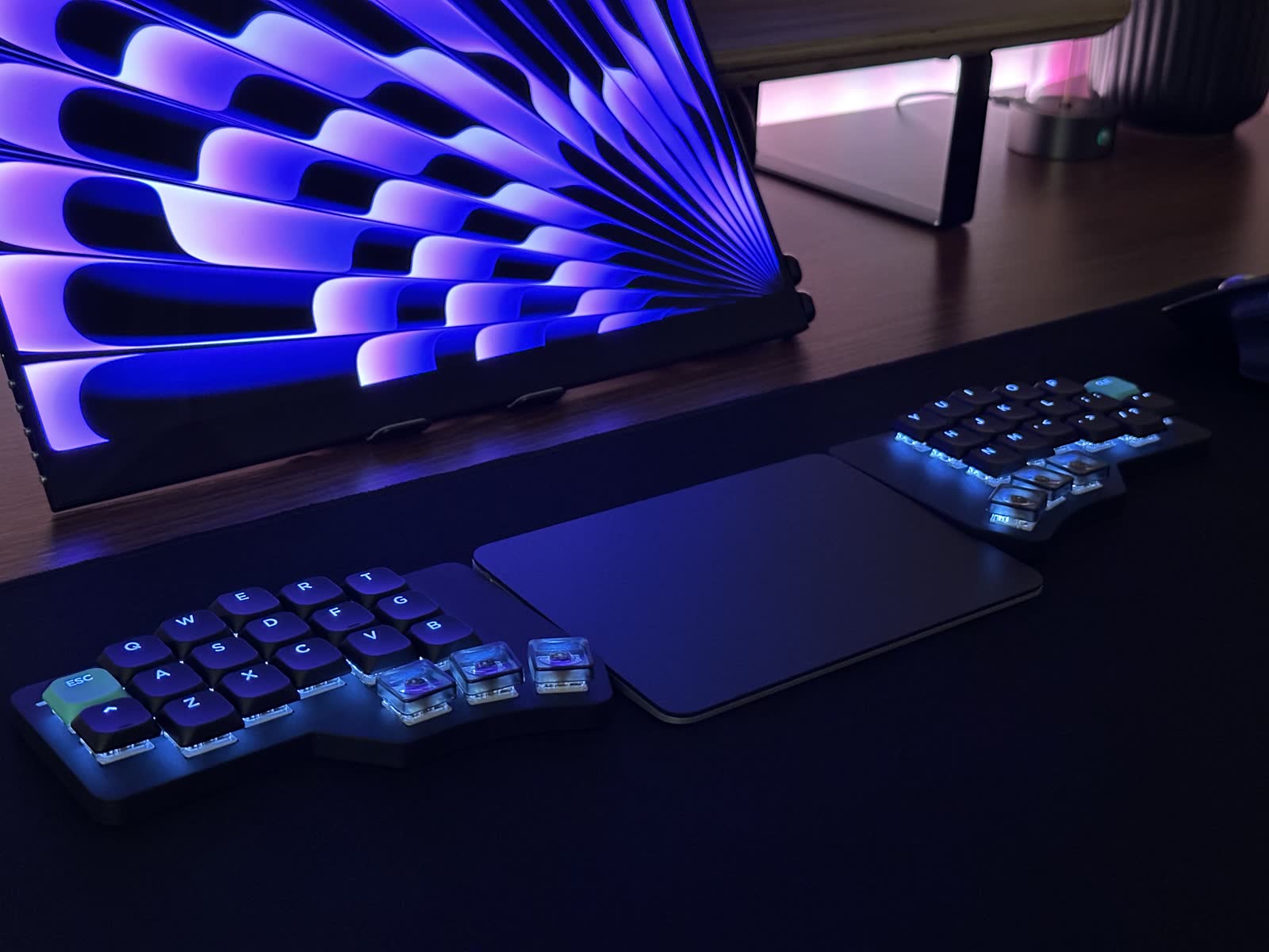 The Wolf on a desk with purple ambient light